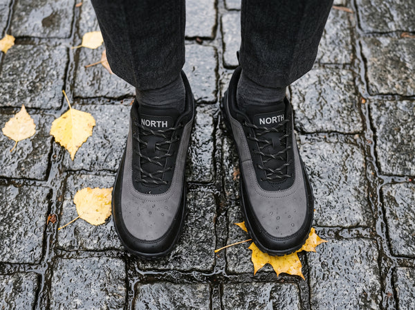 Wet pavement