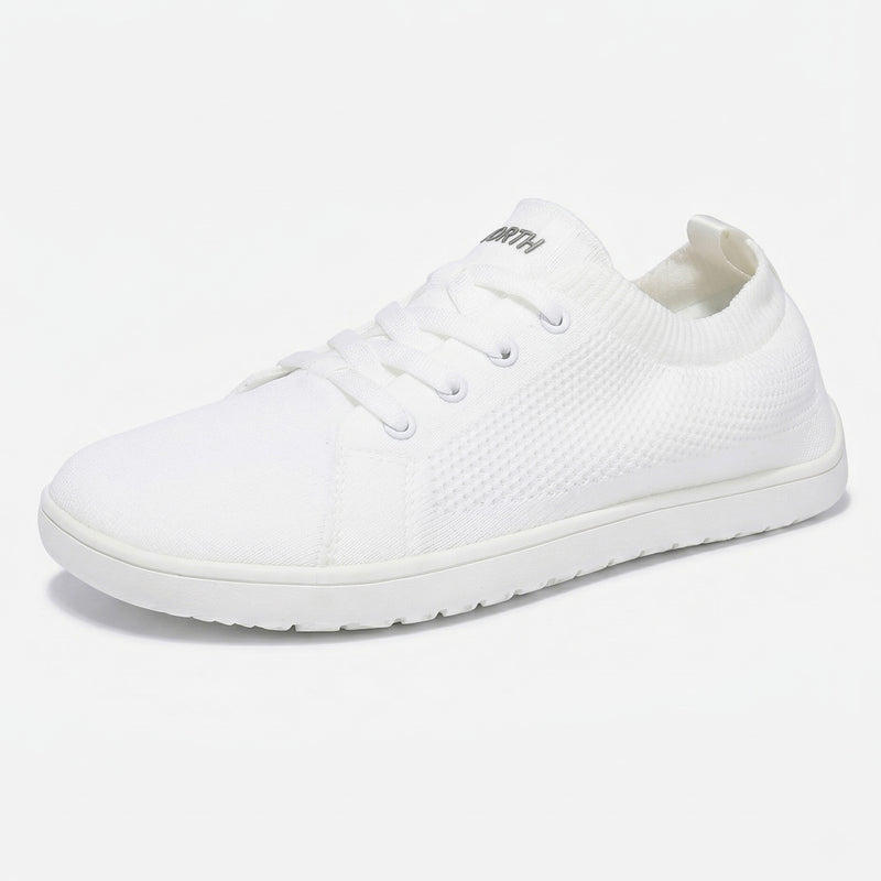 North Air Lite